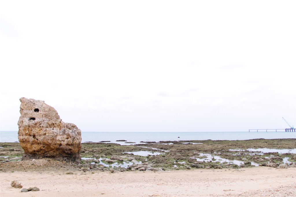 f:id:koalohawaii:20191026104851j:image f:id:koalohawaii:20191026104851j:image