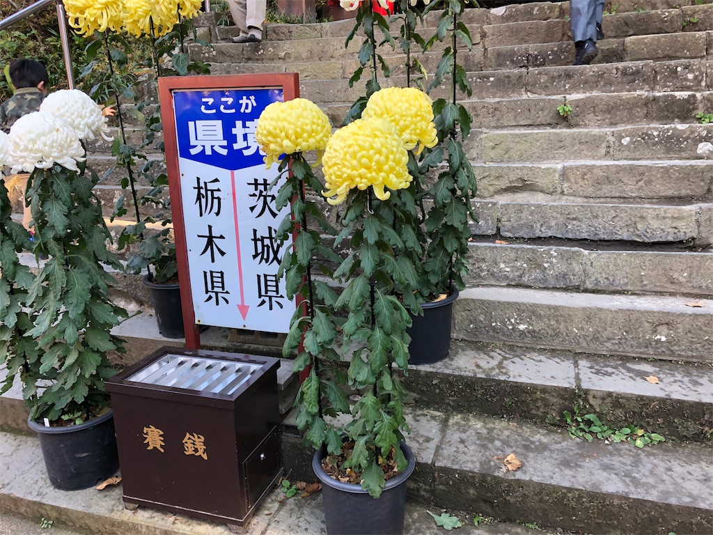 f:id:koalohawaii:20191120214256j:image f:id:koalohawaii:20191120214256j:image