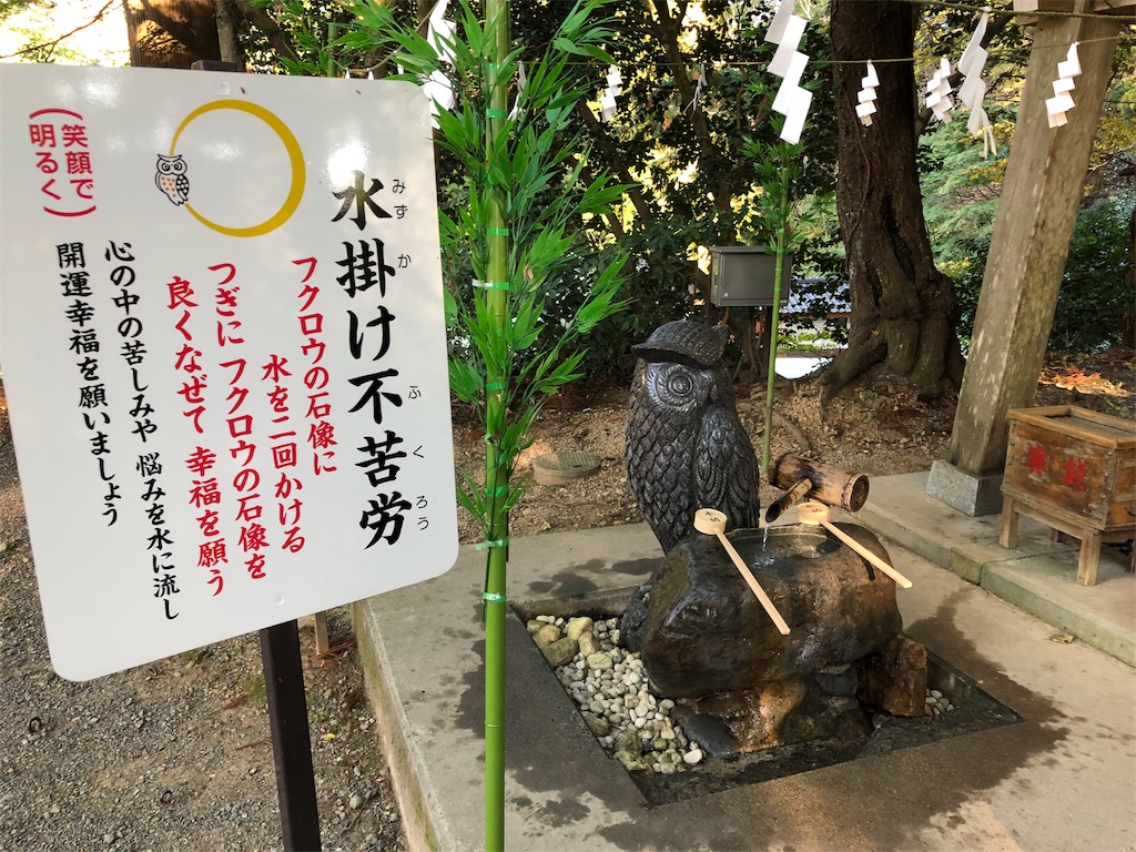 f:id:koalohawaii:20191120214655j:image f:id:koalohawaii:20191120214655j:image