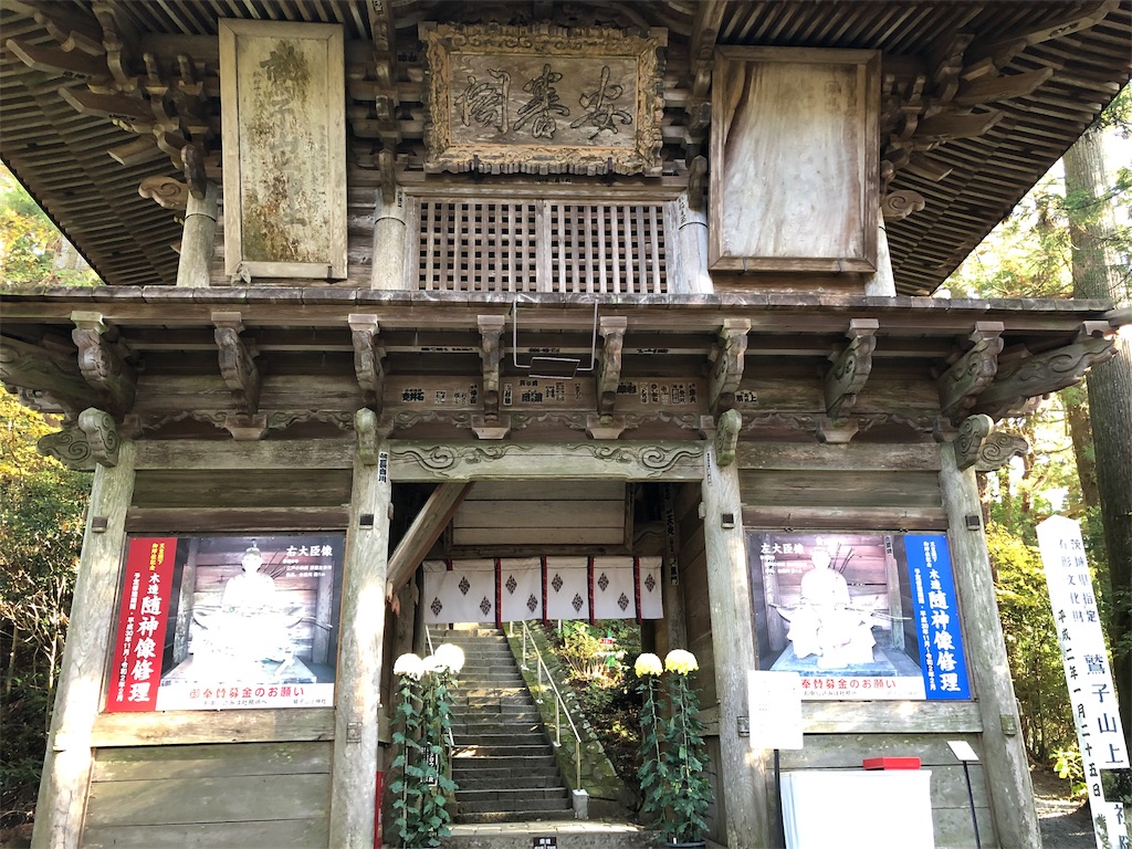 f:id:koalohawaii:20191120215158j:image f:id:koalohawaii:20191120215158j:image