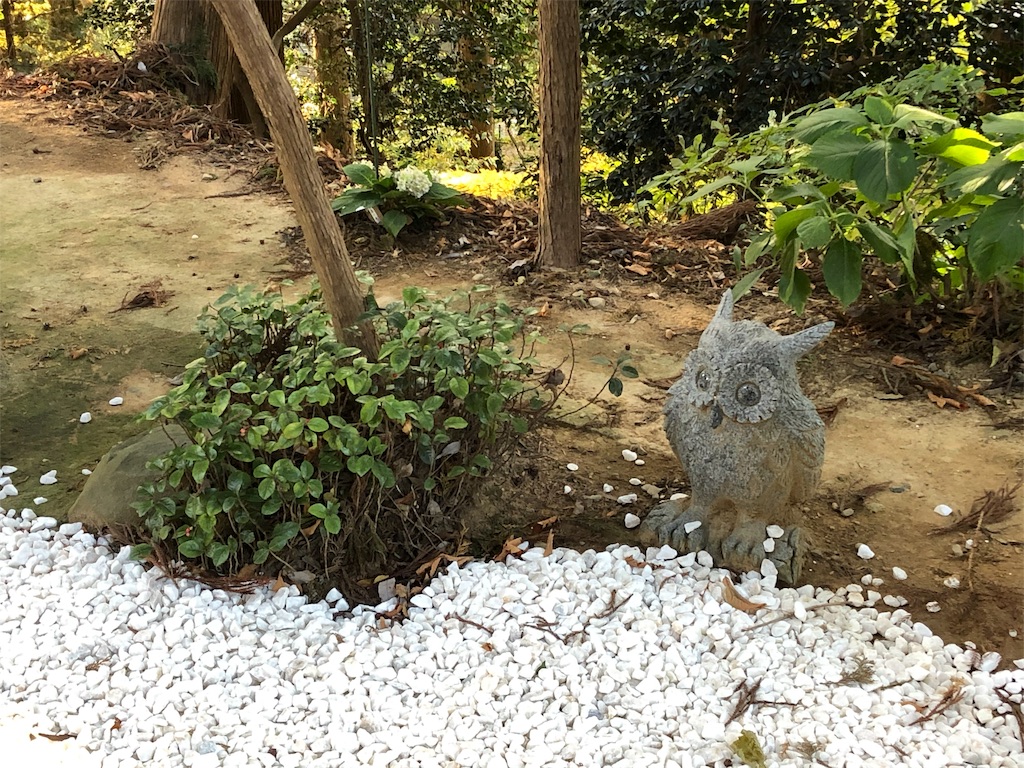f:id:koalohawaii:20191120220545j:image f:id:koalohawaii:20191120220545j:image