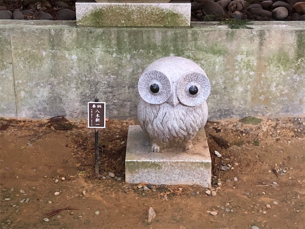 f:id:koalohawaii:20191120220548j:image f:id:koalohawaii:20191120220548j:image