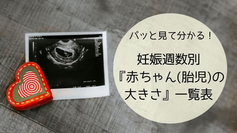 パッと見て分かる 妊娠週数別 赤ちゃん 胎児 の大きさ 一覧表 コアロハライフハック