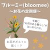 ブルーミー(bloomee) ｜お花の定期便の口コミ・評判はどう？各プランもサクッと紹介！